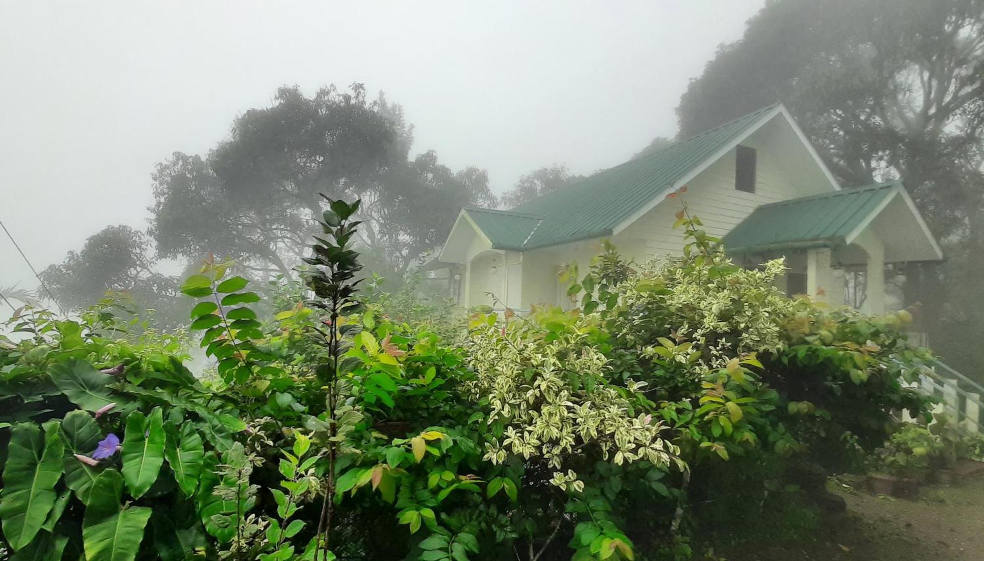 Summer Dew Anachal Luaran gambar